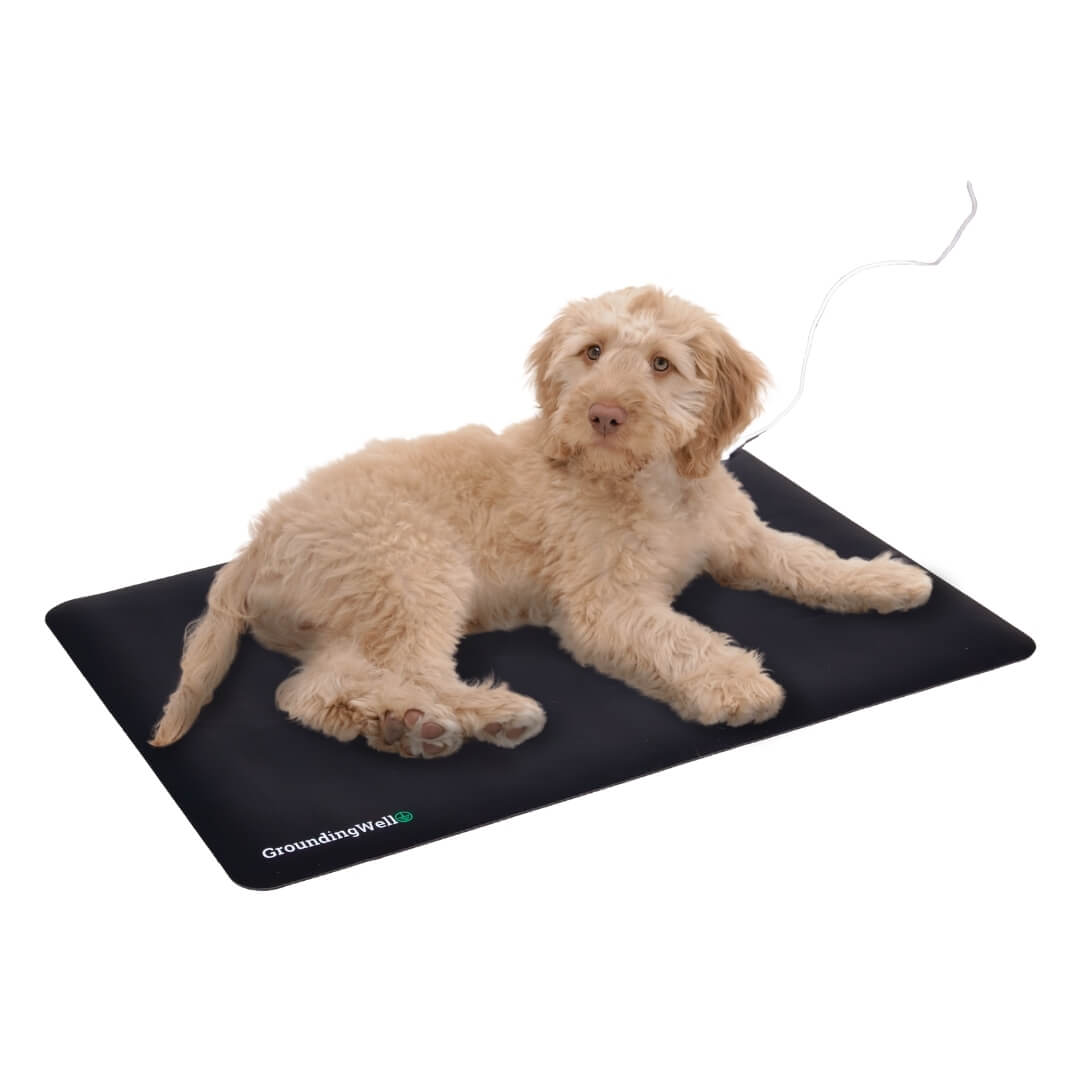Alfombrilla para mascotas Lumitierra